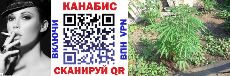Купить наркотики Мичуринск КОКАИН СОЛЬ Конопля Псилоцибиновые грибы Меф