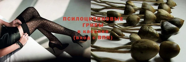 прущие грибы Алексеевка