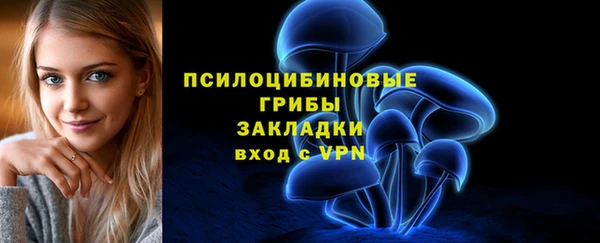 ALPHA PVP Алексин