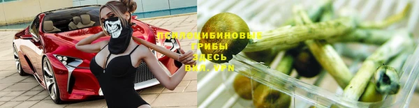 прущие грибы Алексеевка
