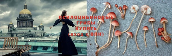 ALPHA PVP Алексин