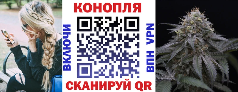 что такое   Мичуринск  Конопля индика 